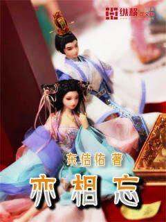 热带假日